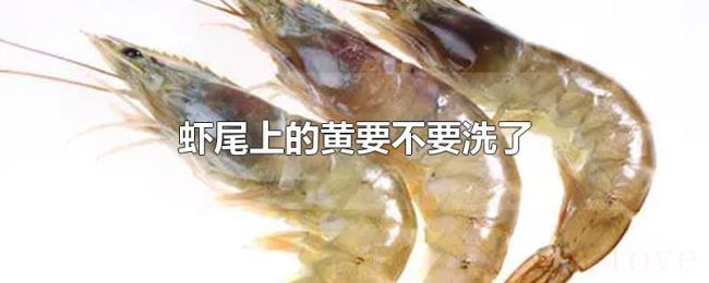 虾尾上的黄要不要洗了