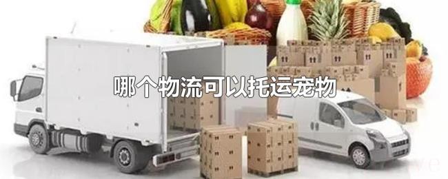哪个物流可以托运宠物 哪个物流可以托运宠物