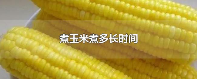 煮玉米煮多长时间