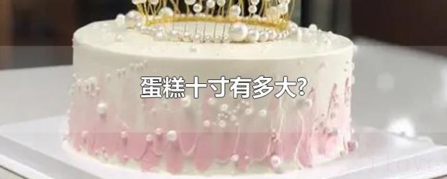 蛋糕十寸有多大?