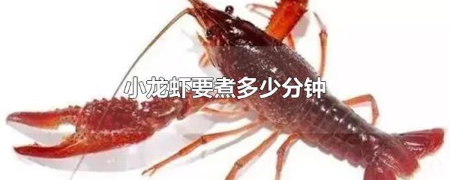 小龙虾要煮多少分钟 小龙虾要煮多少分钟