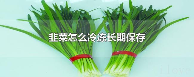 韭菜怎么冷冻长期保存