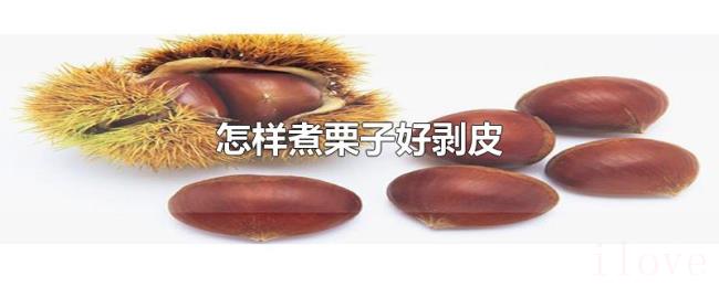 怎样煮栗子好剥皮 怎样煮栗子好剥皮