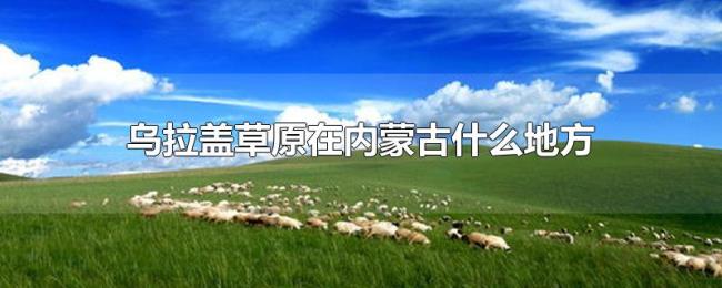 乌拉盖草原在内蒙古什么地方
