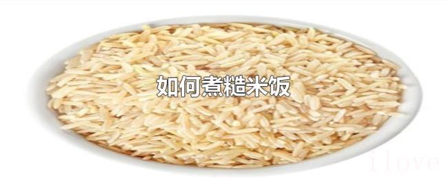 如何煮糙米饭