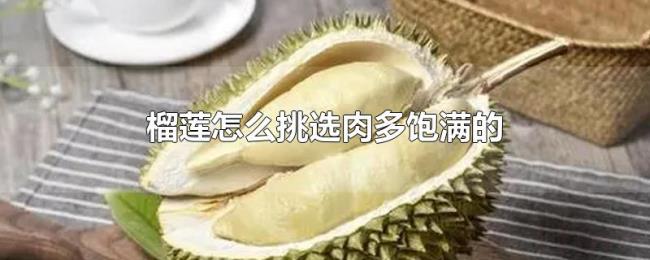 榴莲怎么挑选肉多饱满的