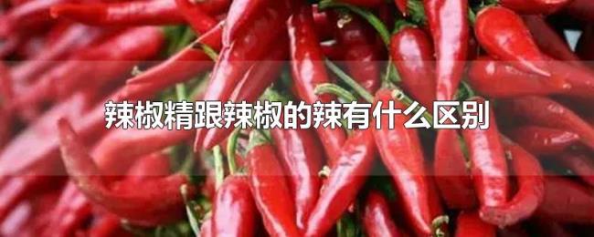 辣椒精跟辣椒的辣有什么区别 辣椒精跟辣椒的辣有什么区别