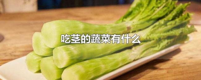 吃茎的蔬菜有什么 吃茎的蔬菜有什么