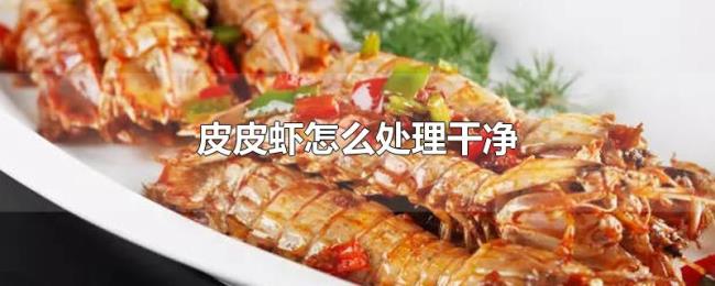 皮皮虾怎么处理干净