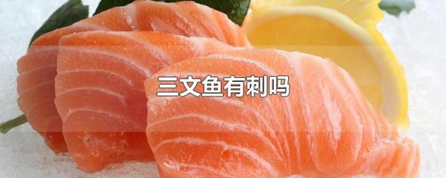 三文鱼有刺吗 三文鱼有刺吗