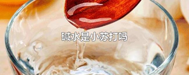 碱水是小苏打吗 碱水是小苏打吗