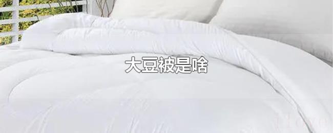 大豆被是啥
