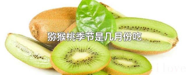猕猴桃季节是几月份吃