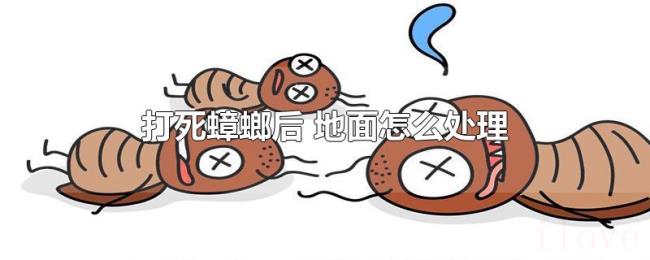 打死蟑螂后（地面怎么处理）