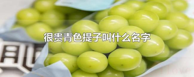 很贵青色提子叫什么名字 很贵青色提子叫什么名字