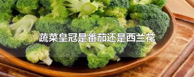 蔬菜皇冠是番茄还是西兰花