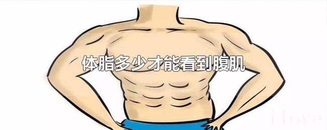 体脂多少才能看到腹肌 体脂多少才能看到腹肌