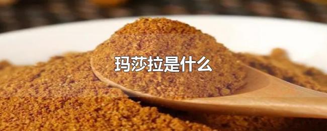 玛莎拉是什么