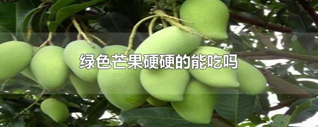 绿色芒果硬硬的能吃吗 绿色芒果硬硬的能吃吗