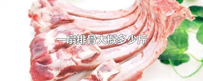 一扇排骨大概多少斤 一扇排骨大概多少斤