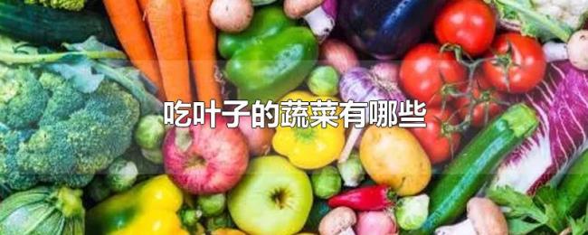 吃叶子的蔬菜有哪些