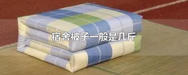 宿舍被子一般是几斤