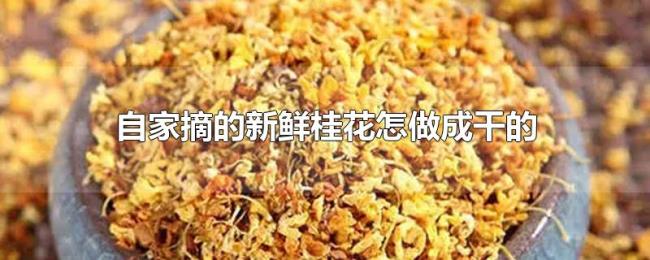 自家摘的新鲜桂花怎做成干的 自家摘的新鲜桂花怎做成干的