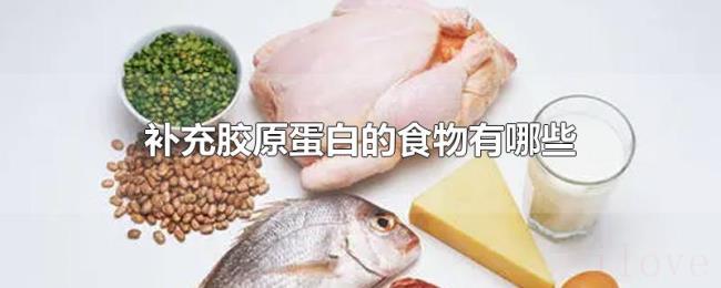 补充胶原蛋白的食物有哪些