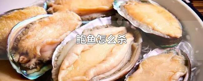 鲍鱼怎么杀 鲍鱼怎么杀