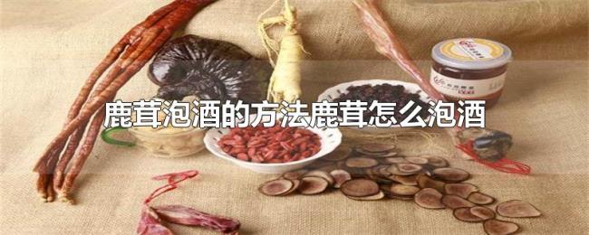 鹿茸泡酒的方法鹿茸怎么泡酒