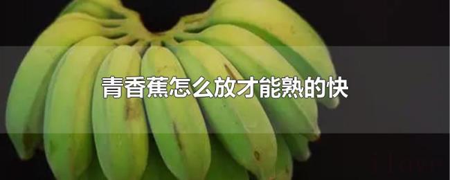 青香蕉怎么放才能熟的快 青香蕉怎么放才能熟的快