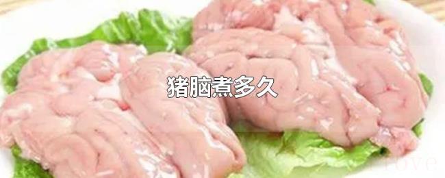 猪脑煮多久 猪脑煮多久