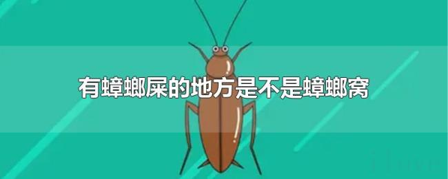 有蟑螂屎的地方是不是蟑螂窝
