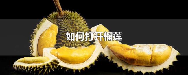 如何打开榴莲 如何打开榴莲