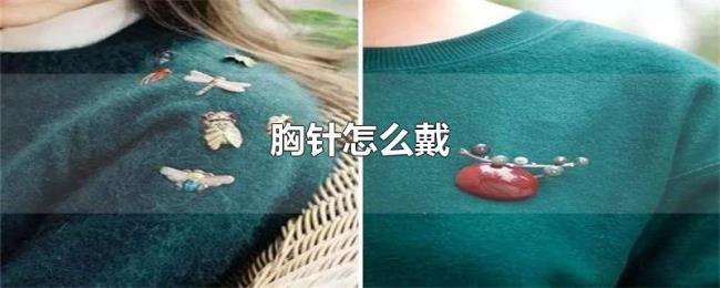 胸针怎么戴