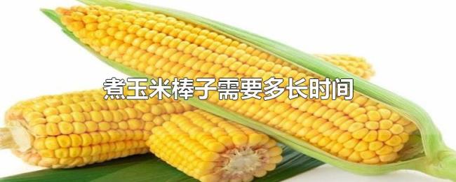 煮玉米棒子需要多长时间