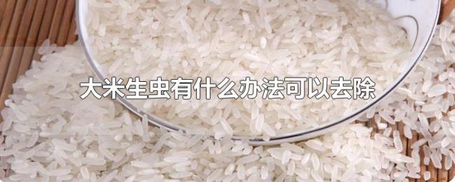大米生虫有什么办法可以去除