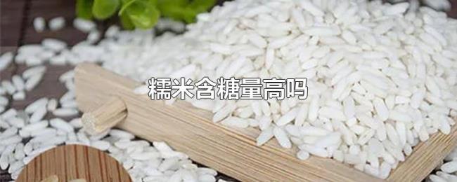 糯米含糖量高吗 糯米含糖量高吗