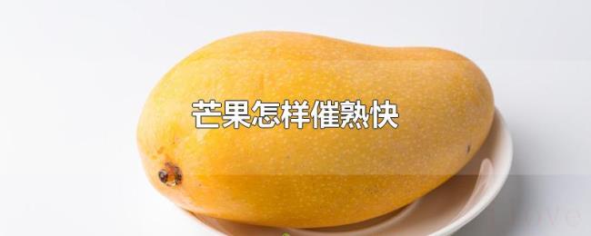 芒果怎样催熟快 芒果怎样催熟快