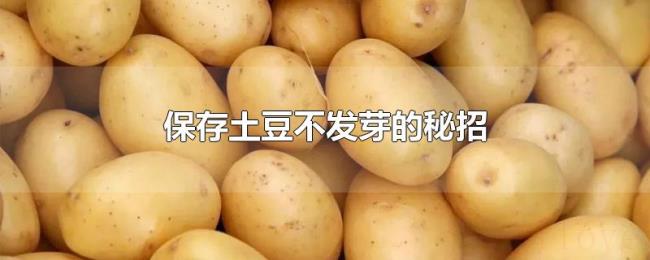 保存土豆不发芽的秘招 保存土豆不发芽的秘招