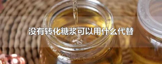 没有转化糖浆可以用什么代替 没有转化糖浆可以用什么代替