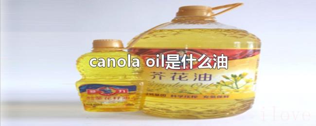 canola(oil是什么油) canola(oil是什么油)