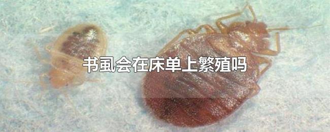 书虱会在床单上繁殖吗 书虱会在床单上繁殖吗