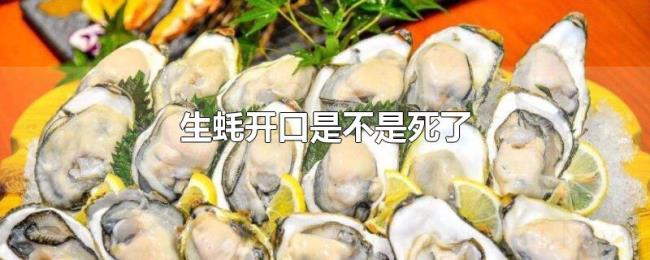 生蚝开口是不是死了