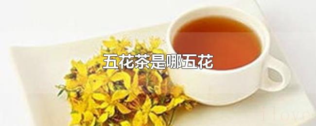 五花茶是哪五花