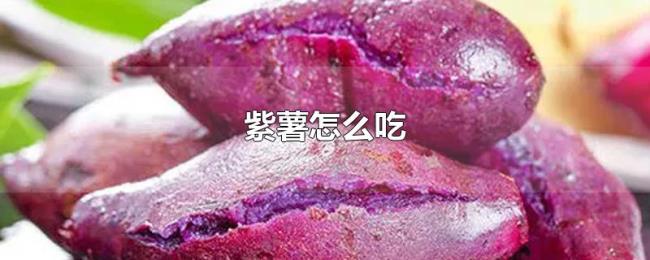 紫薯怎么吃 紫薯怎么吃