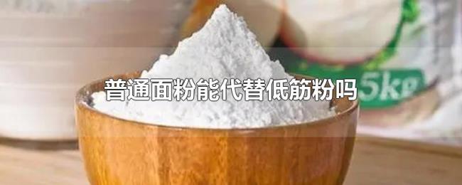 普通面粉能代替低筋粉吗 普通面粉能代替低筋粉吗