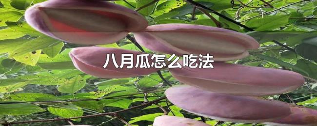 八月瓜怎么吃法 八月瓜怎么吃法