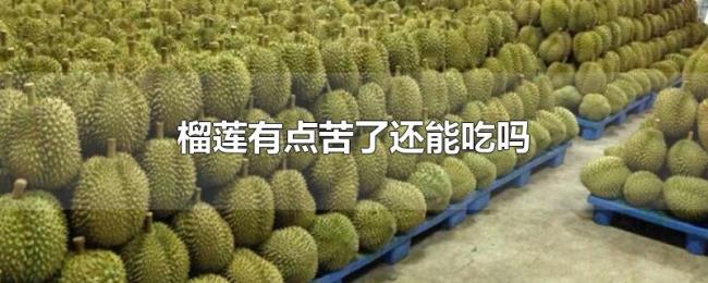 榴莲有点苦了还能吃吗 榴莲有点苦了还能吃吗