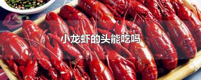 小龙虾的头能吃吗 小龙虾的头能吃吗